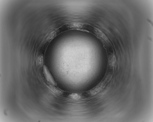 X0000096950425200802081234