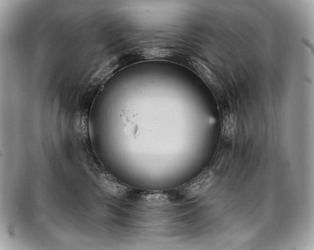 X0000096950426200802081234
