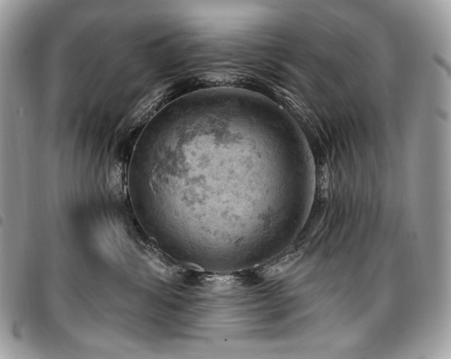X0000096950428200802081234