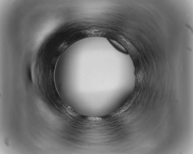 X0000096950429200802081234