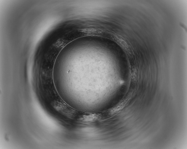 X0000096950430200802081234