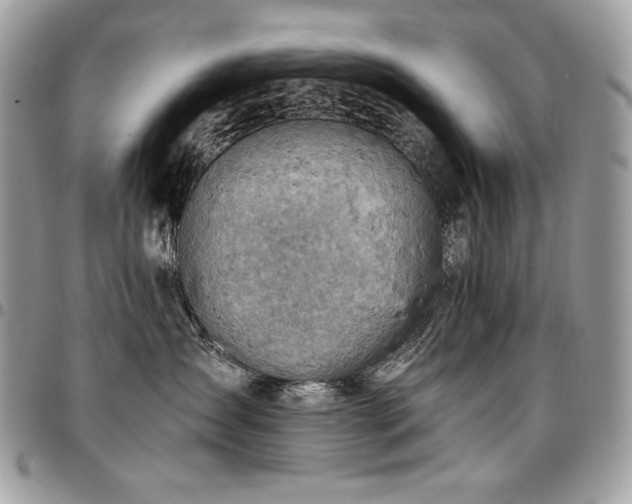 X0000096950431200802081234