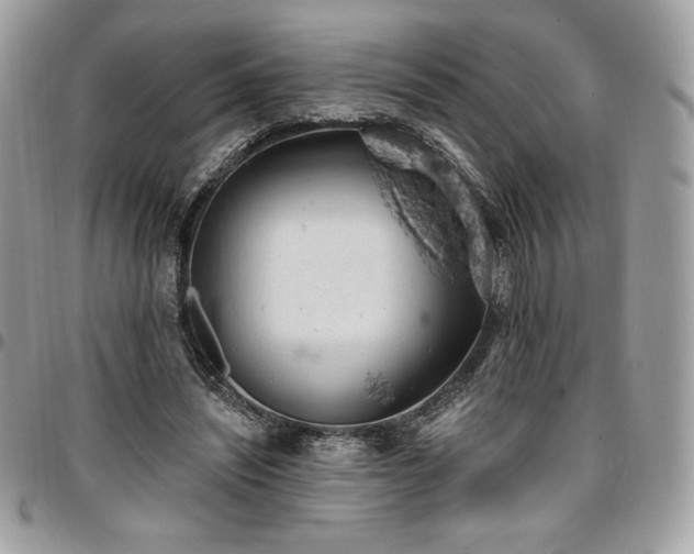 X0000096950444200802081233