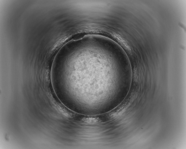 X0000096950449200802081233