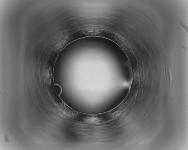 X0000096950460200802081233