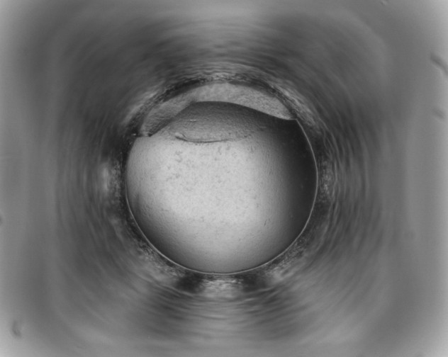 X0000096950461200802081233