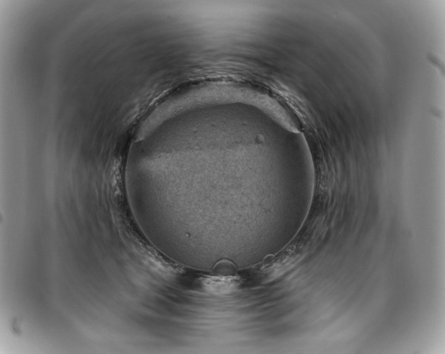 X0000096950465200802081234