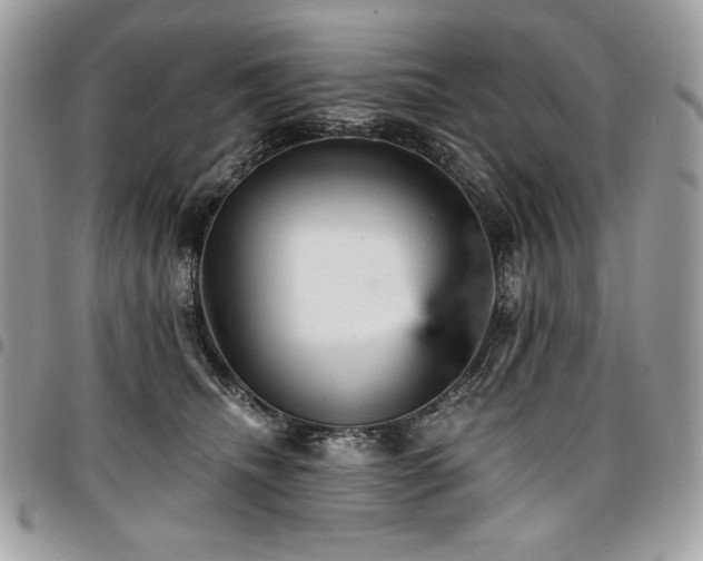 X0000096950468200802081234