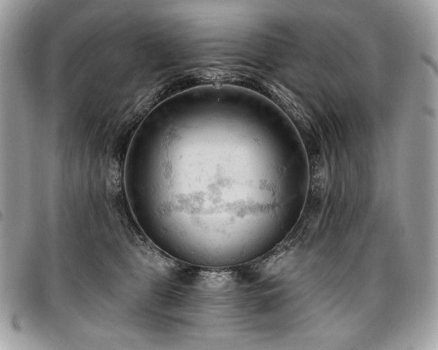 X0000096950469200802081234