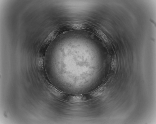 X0000096950473200802081234