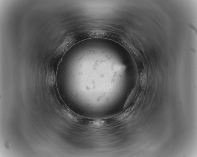 X0000096950474200802081234