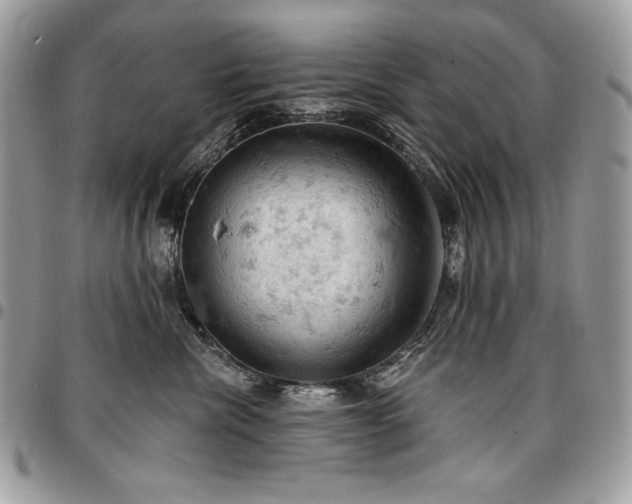 X0000096950476200802081234