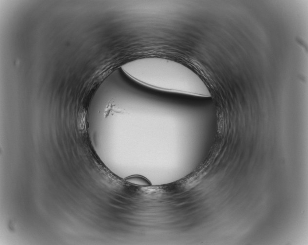 X0000096950477200802081234