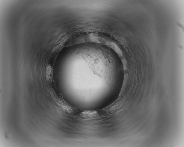 X0000096950480200802081234