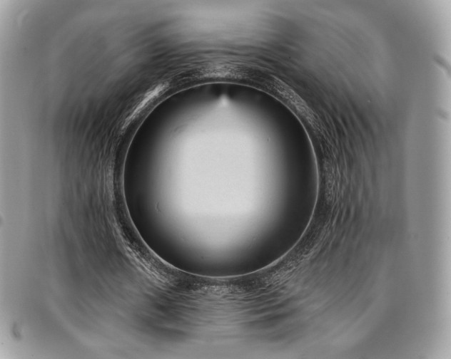 X0000096950482200802081233
