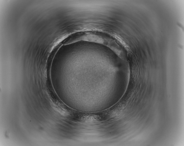X0000096950488200802081233