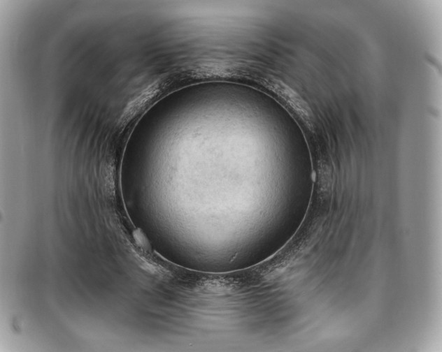 X0000096950489200802081233