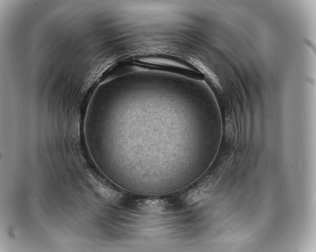 X0000096950493200802081233