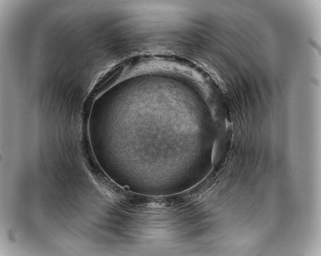 X0000096950496200802081233