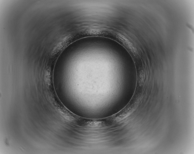 X0000096950497200802081233