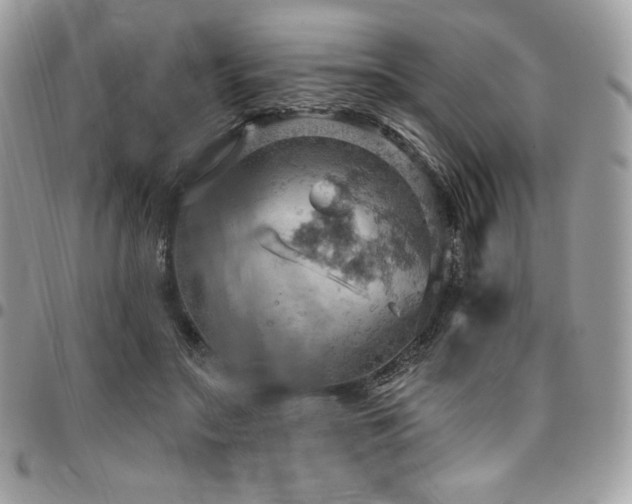 X0000096950499200802081233