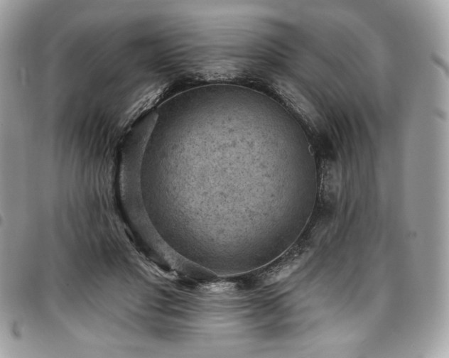 X0000096950501200802081232