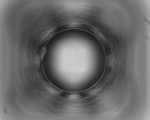 X0000096950505200802081232