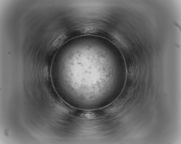 X0000096950506200802081232