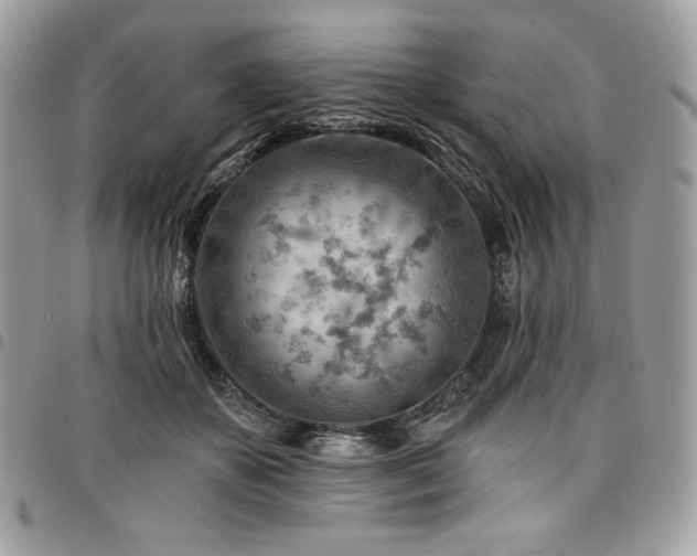 X0000096950507200802081232