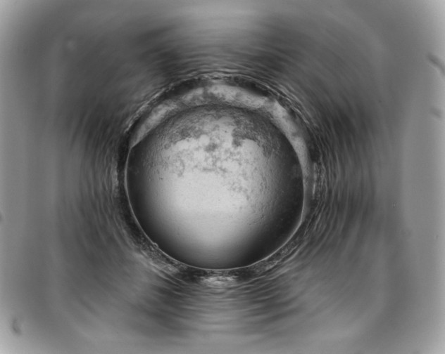 X0000096950508200802081232