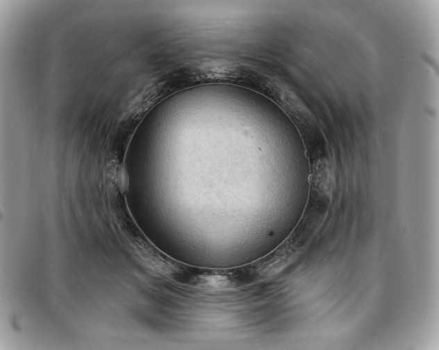 X0000096950509200802081232