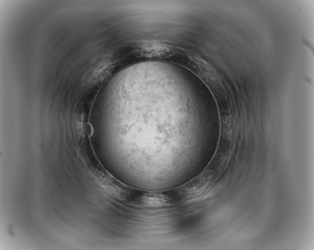 X0000096950510200802081232