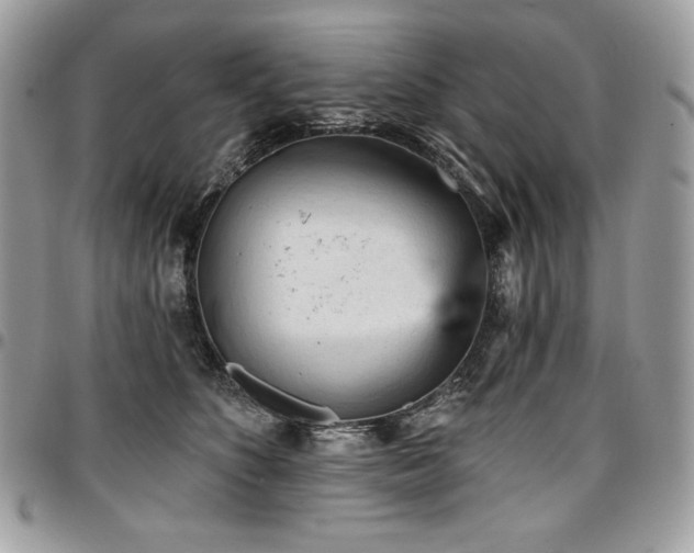 X0000096950516200802081232