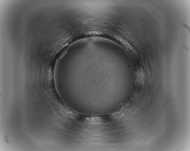 X0000096950517200802081232