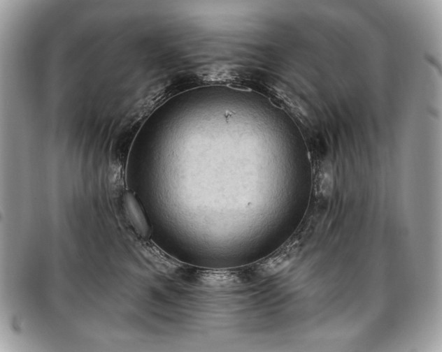 X0000096950521200802081232