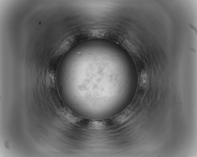 X0000096950522200802081232