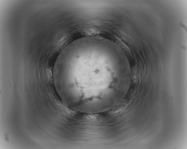 X0000096950523200802081232