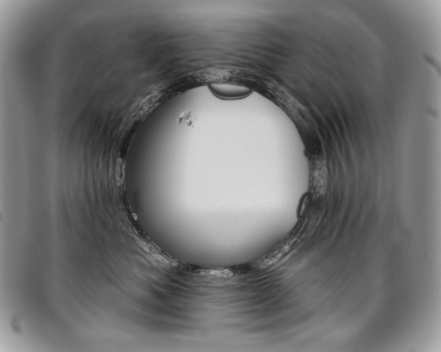 X0000096950525200802081232