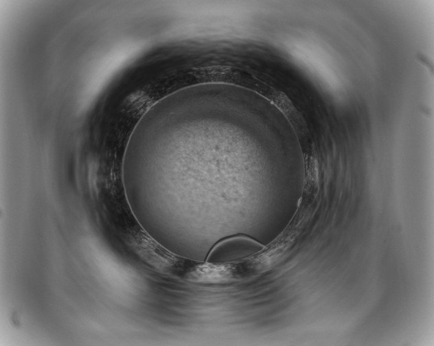 X0000096950526200802081232