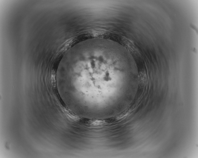 X0000096950527200802081232