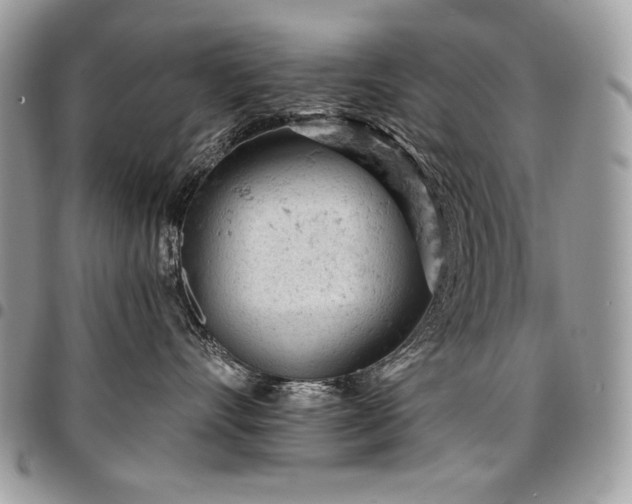 X0000096950528200802081232