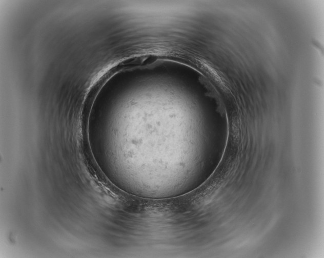 X0000096950532200802081232