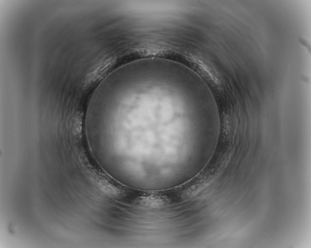 X0000096950545200802081232
