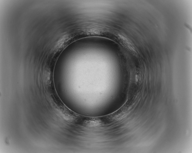 X0000096950548200802081232