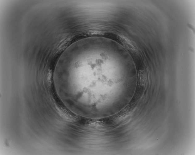 X0000096950550200802081232