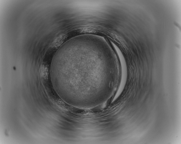 X0000096950551200802081232