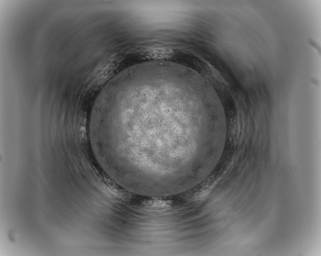 X0000096950553200802081232