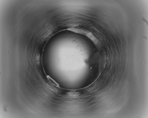 X0000096950556200802081232