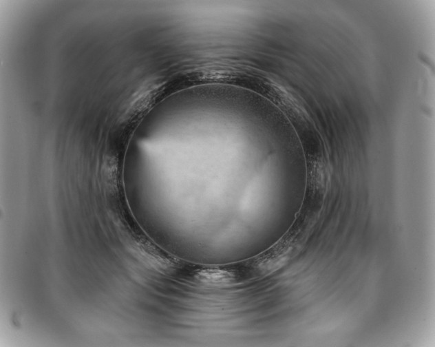 X0000096950557200802081232