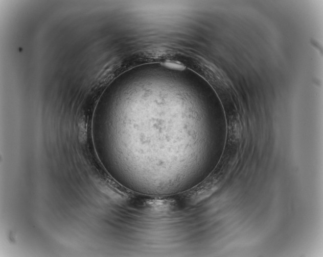 X0000096950558200802081232